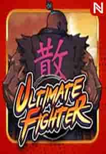 Ultimate fighter